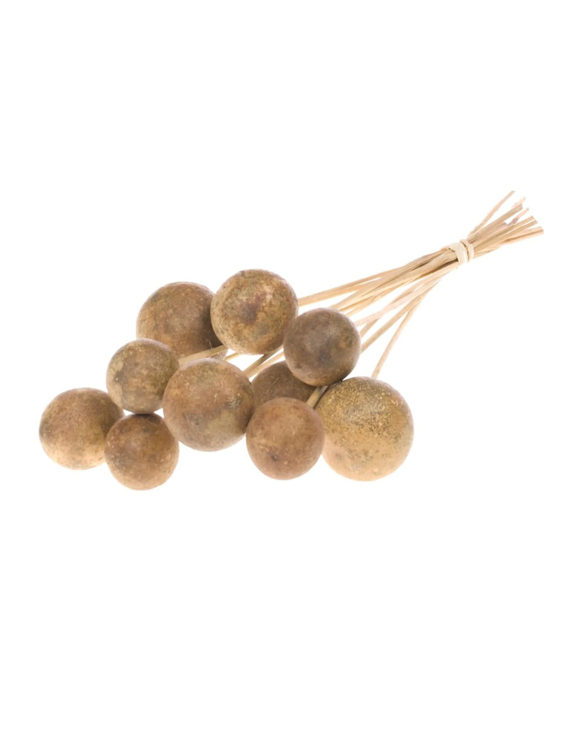 Bellani