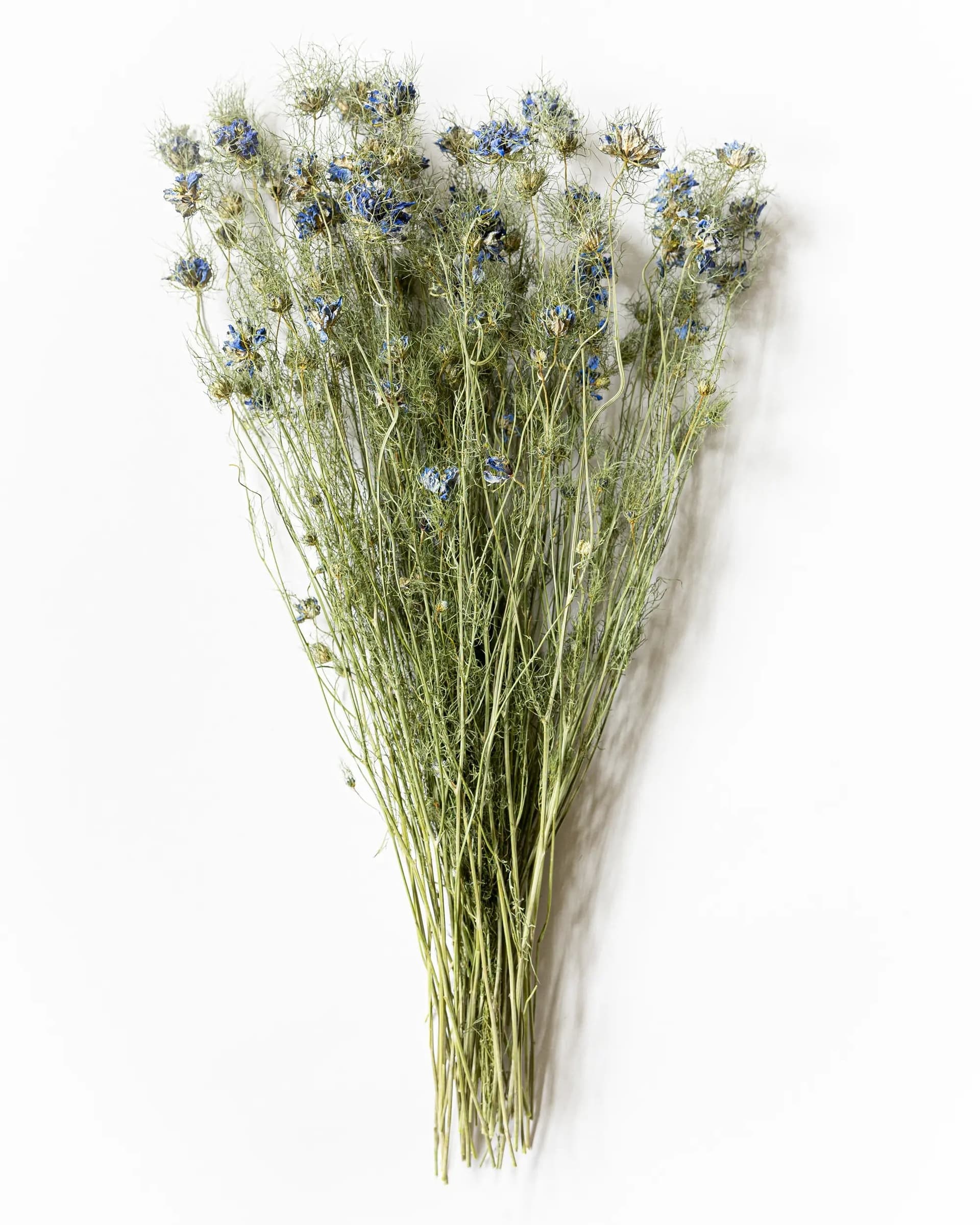Torkad Nigella - Kvartsbunt