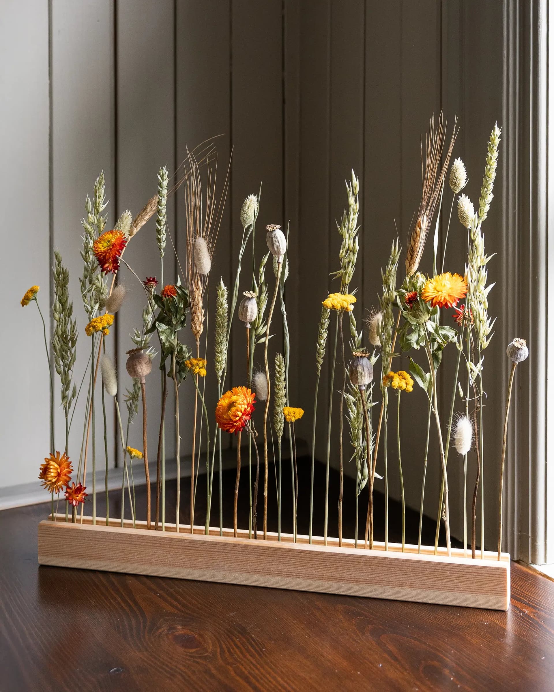 Blomlist Furu - Autumn Glow - 30 cm