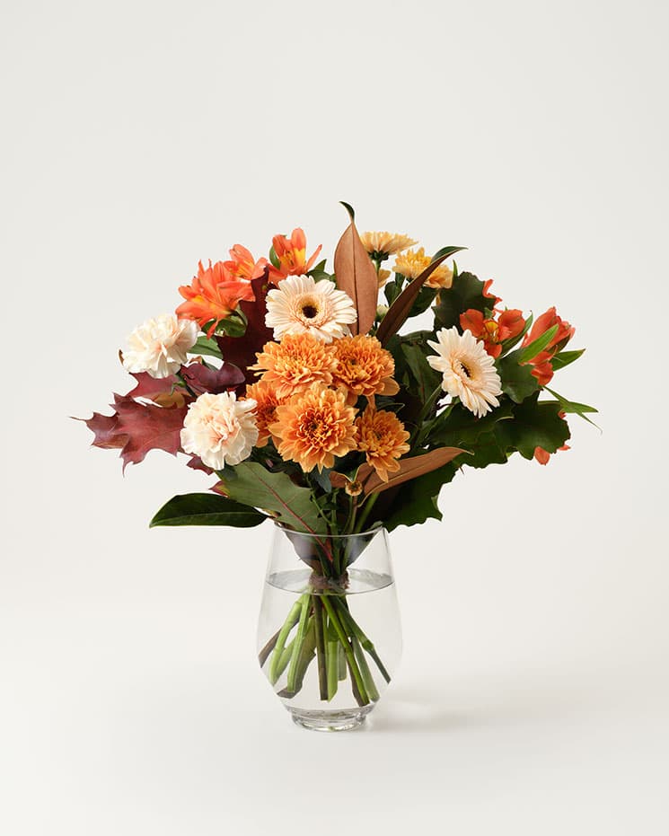 Mera Blomsterglädje