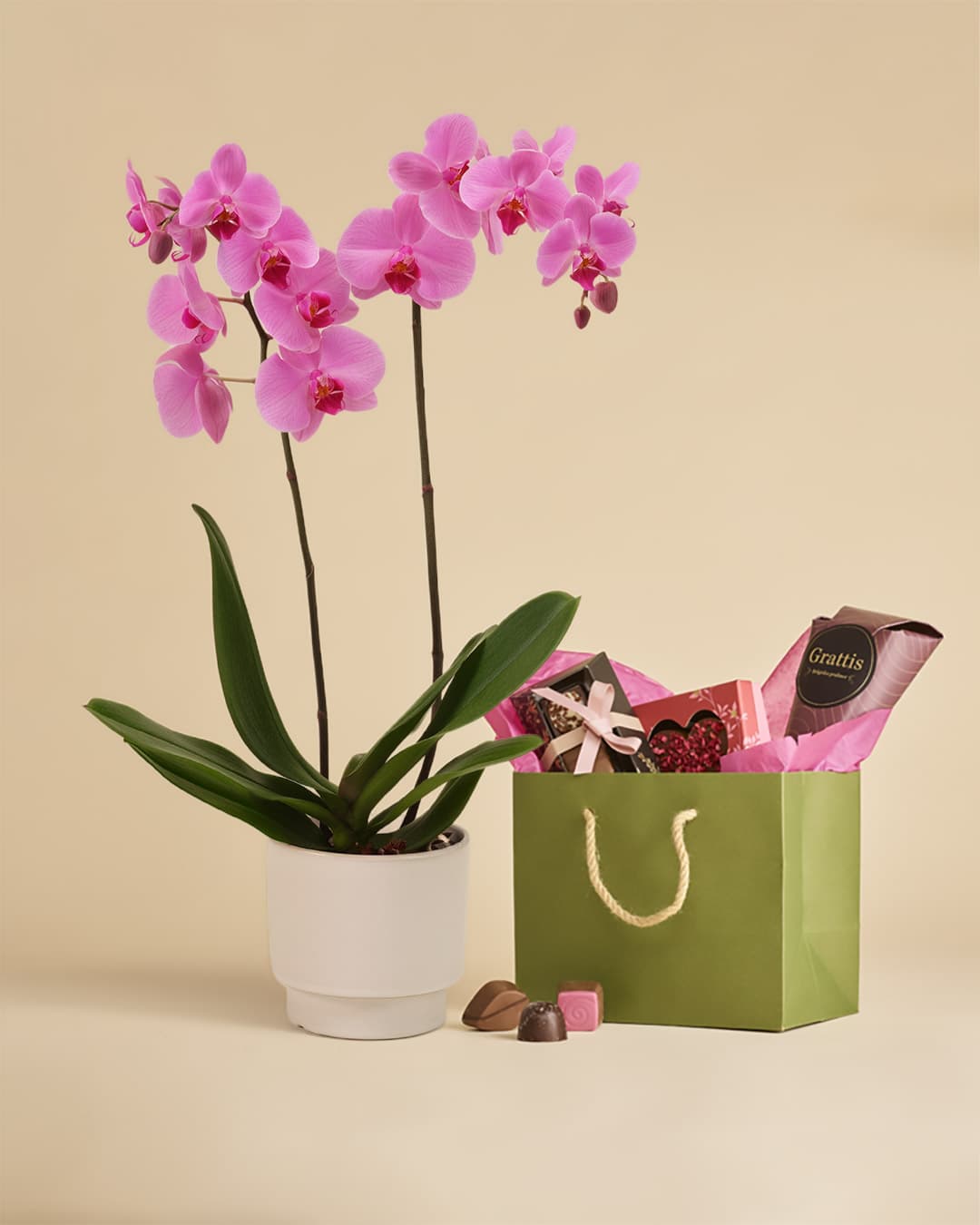 Rosa orkide med chokladtrio